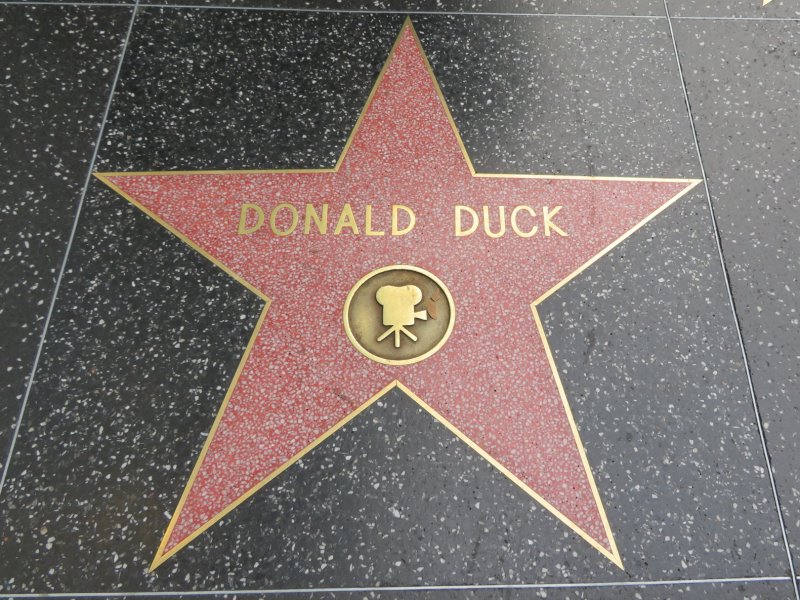One of the Walk of Fame Stars